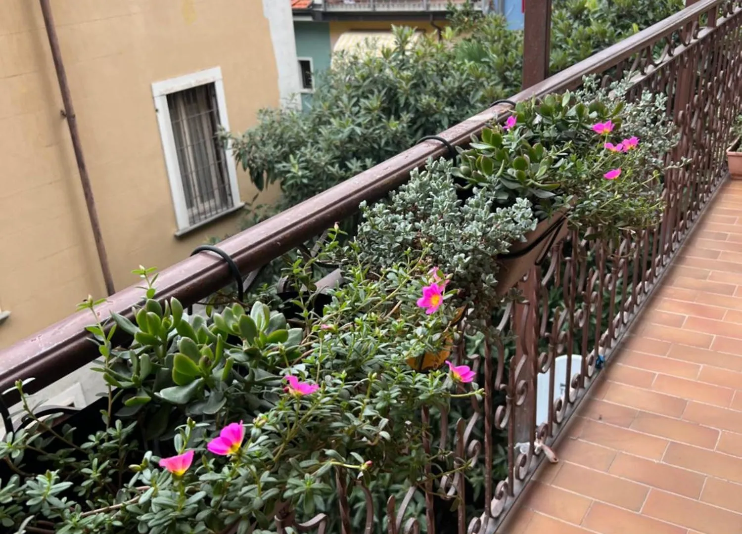 Apartamento Bassano32 Compact Il Tuo Rifugio Sul Parco Trotter Milán